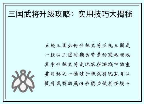 三国武将升级攻略：实用技巧大揭秘