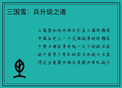 三国雪：兵升级之道